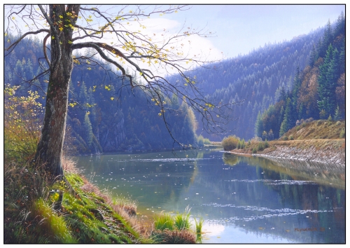 202510171042270.pod-starym-javorom-ol-na-pl-350-x-500mm-2023